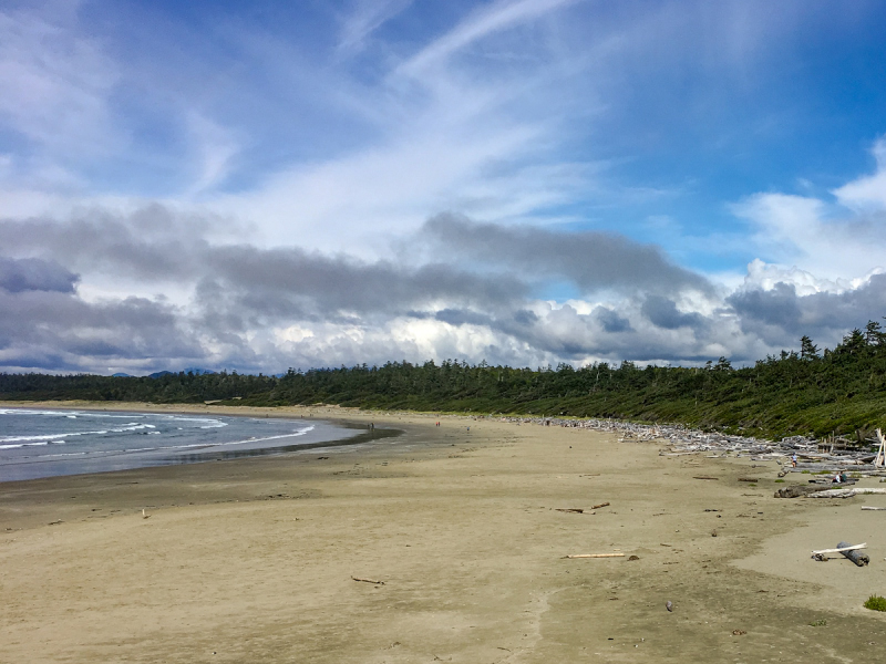 LR Exported Tofino BC-40