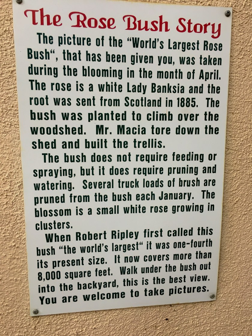 LR Exported Tombstone AZ-37