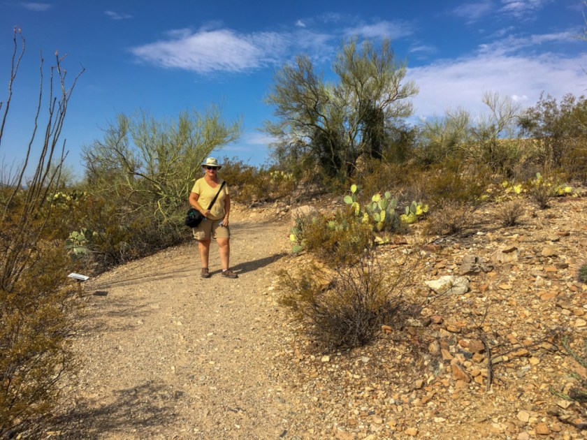 LR Exported Tucson AZ-110