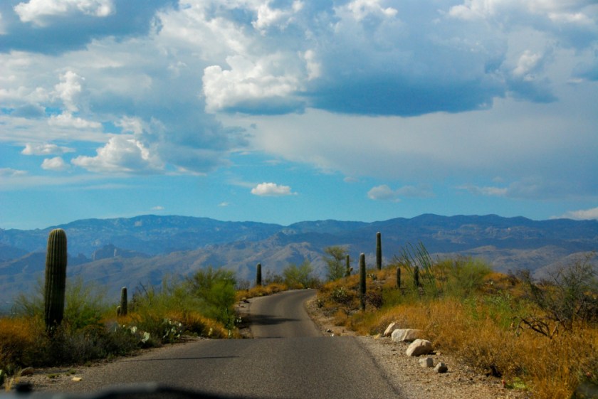 LR Exported Tucson AZ-13