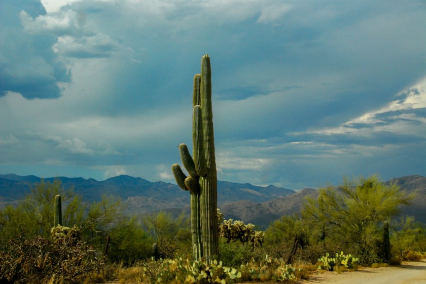 LR Exported Tucson AZ-19