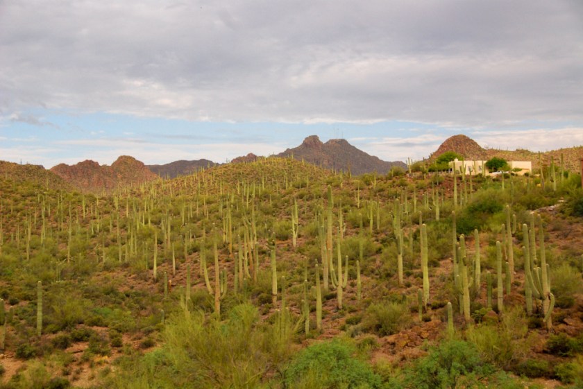 LR Exported Tucson AZ-56