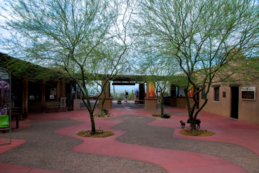 LR Exported Tucson AZ-58