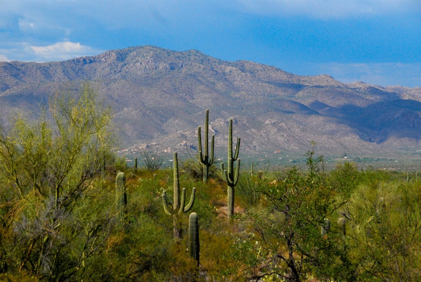 LR Exported Tucson AZ-8