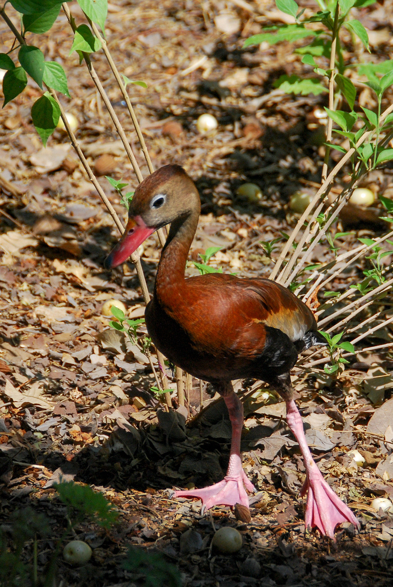 LR Exported Tucson AZ-94
