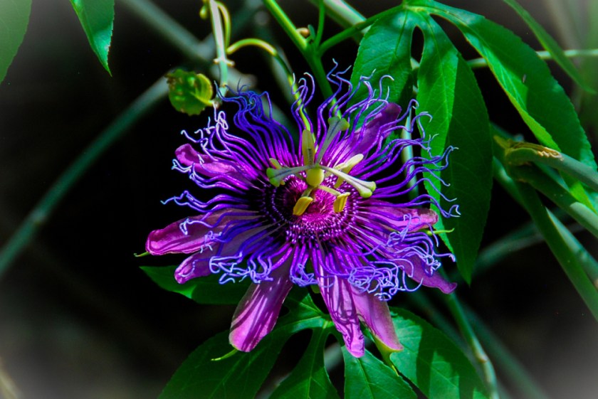 LR Exported Tucson AZ-97