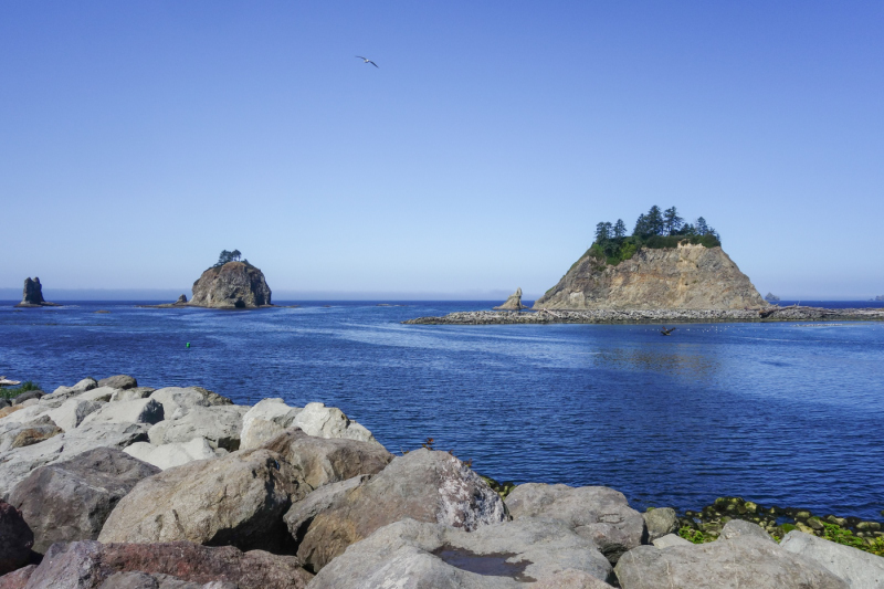 Port Angeles WA-24_01