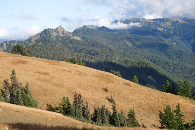 Port Angeles WA-28_01