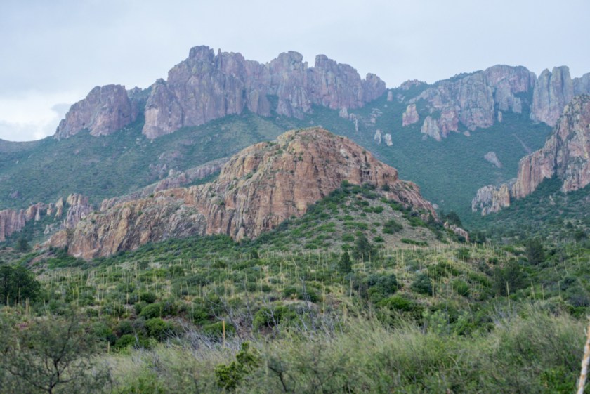 Terlinqua Big Bend -9_01