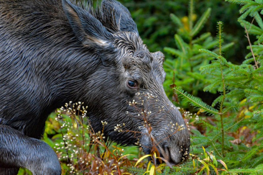 LR Exported Alg Oct 2019 -43 - Copy_01