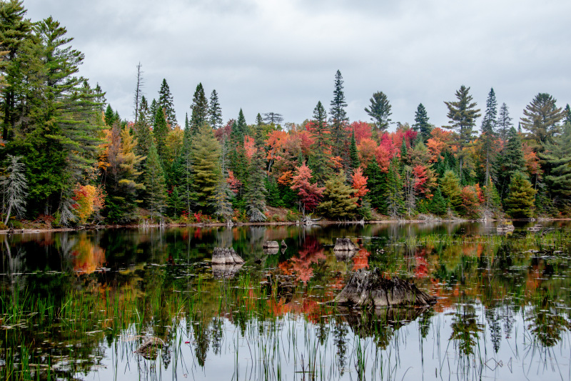 Algonquin Park – Fall 2025 – Part 1 – Trums Travels